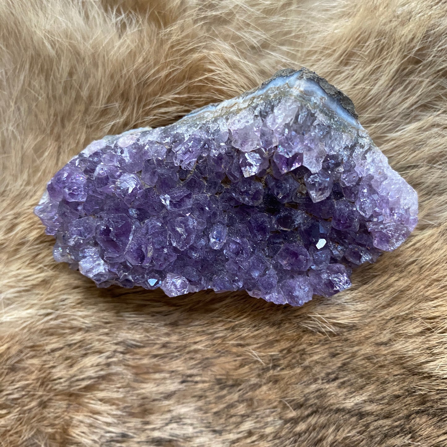 Amethyst Cluster