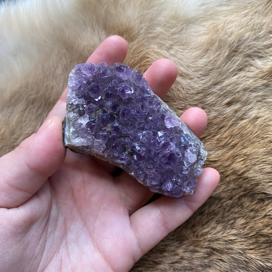 Amethyst Cluster