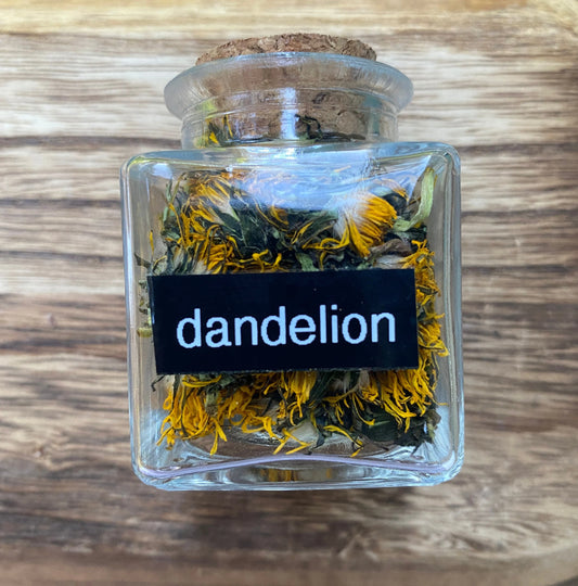 Foraged Dandelion Jar